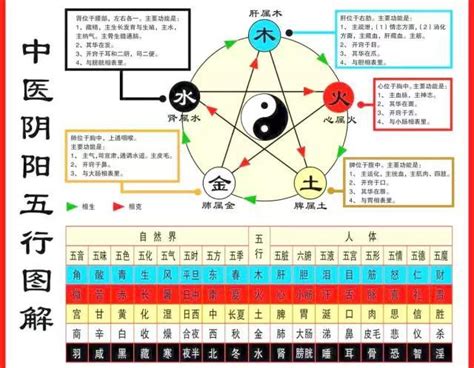 五臟對應表|史上最全中醫五行系統對照表（值得收藏）